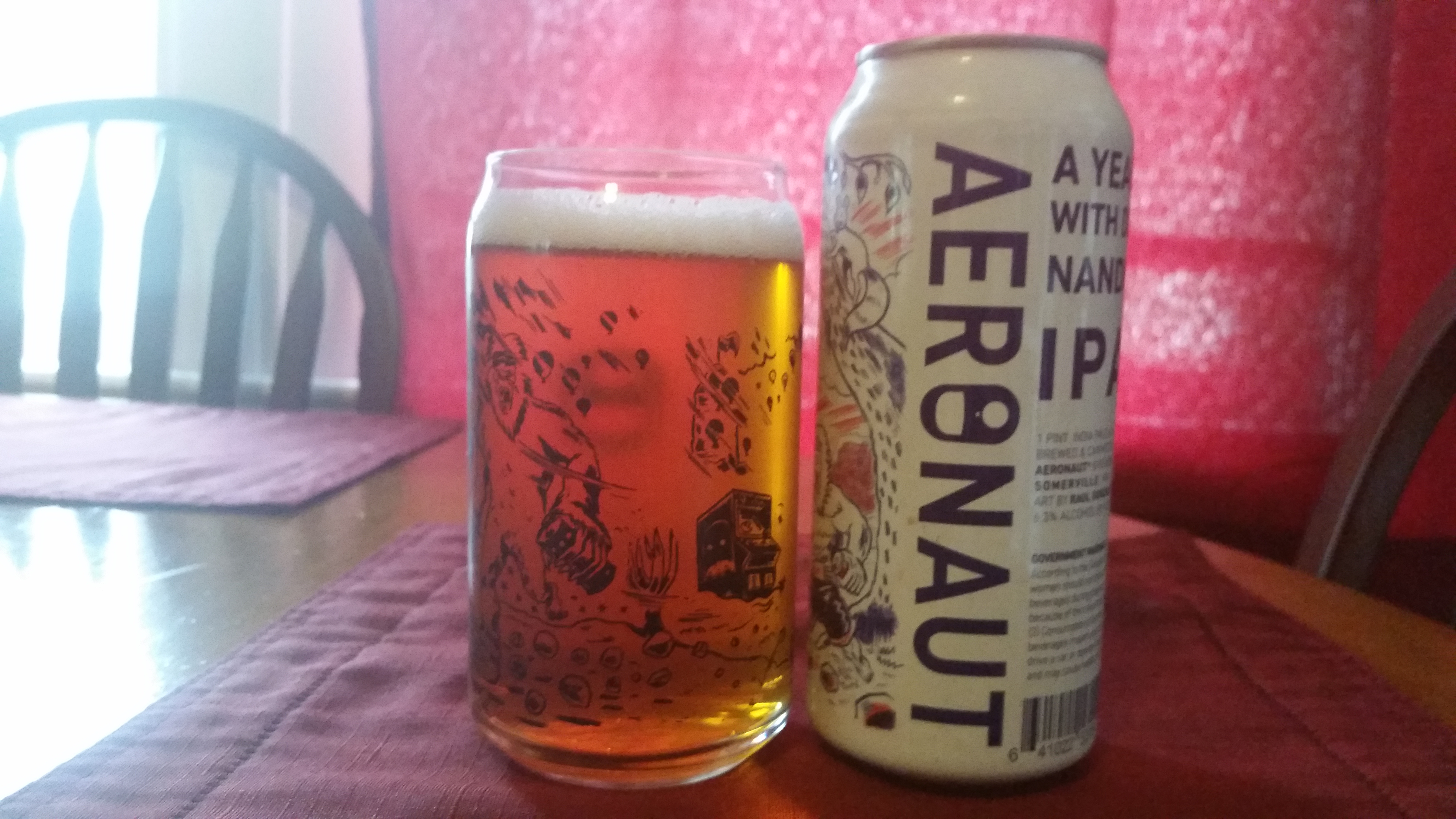 Aeronaut A Year With Dr Nandu