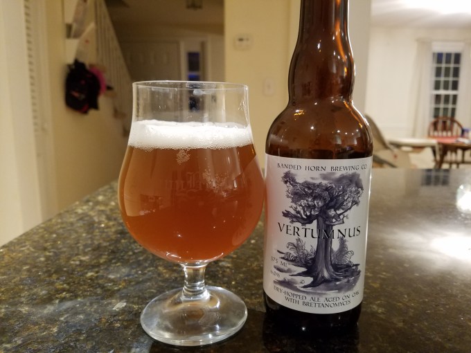 banded-horn-vertumnus