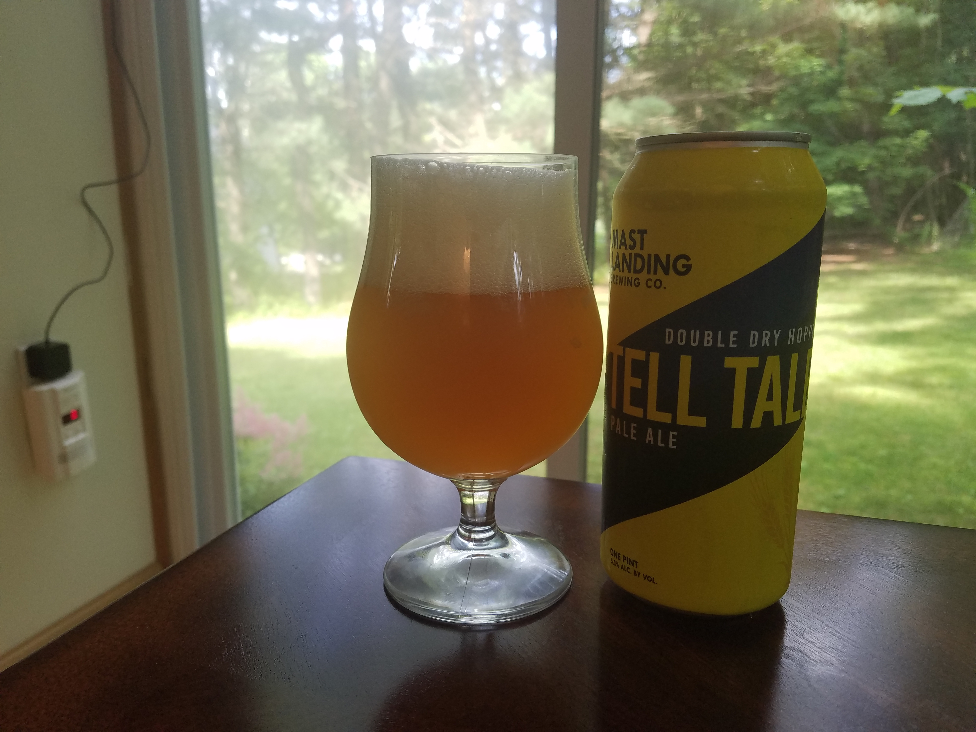 Mast Landing DDH Tell Tale